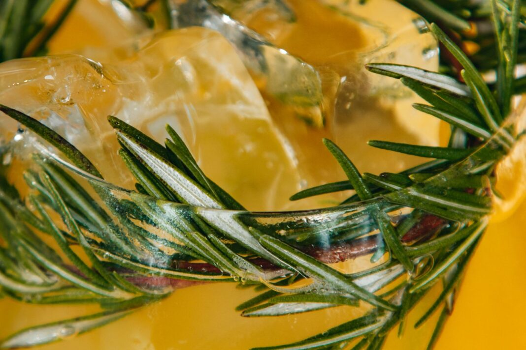 Cytrusowy mocktail z rozmarynem i kostkami lodu Cytrusowy mocktail z rozmarynem i kostkami lodu