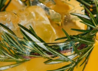 Mocktaile na Święta i Sylwestra: 3 eleganckie propozycje z nutą rozmarynu i żurawiny Cytrusowy mocktail z rozmarynem i kostkami lodu